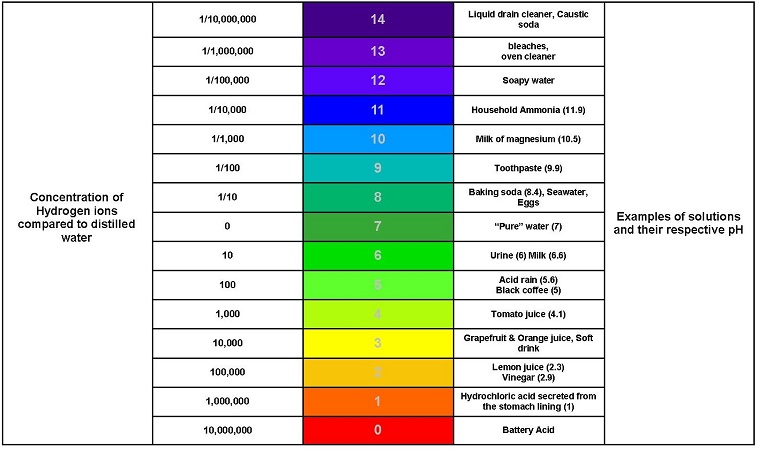 Pure Alkaline Water Drops With Bioavailable Coral Calcium Food Chart